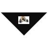 SOL'S Bandana Thumbnail